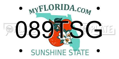 089TSG Florida License Plate