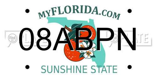 08ABPN Florida License Plate