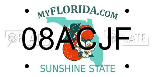 08ACJF Florida License Plate