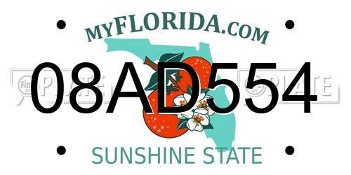 08AD554 Florida License Plate