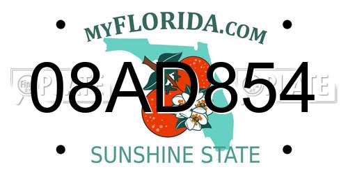 08AD854 Florida License Plate
