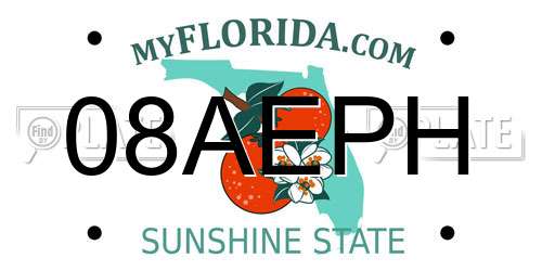 08AEPH Florida License Plate