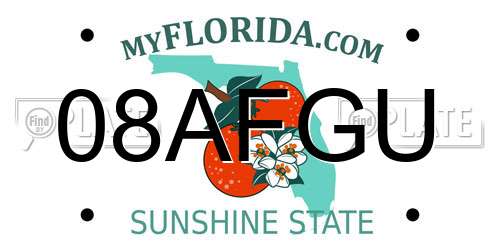08AFGU Florida License Plate