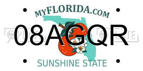 08AGQR Florida License Plate