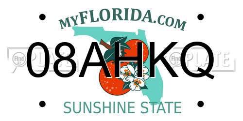08AHKQ Florida License Plate