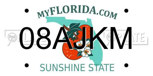 08AJKM Florida License Plate