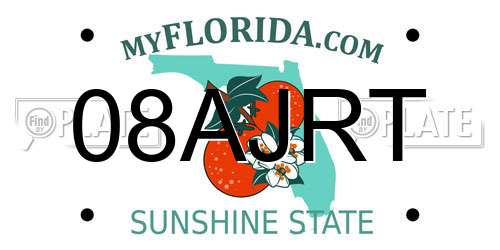 08AJRT Florida License Plate