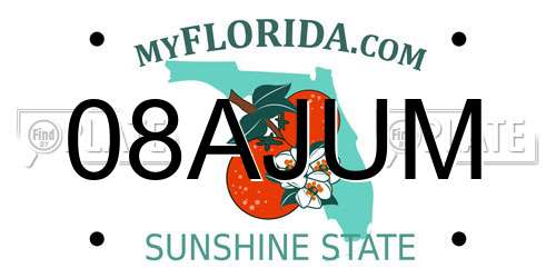 08AJUM Florida License Plate