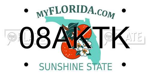 08AKTK Florida License Plate
