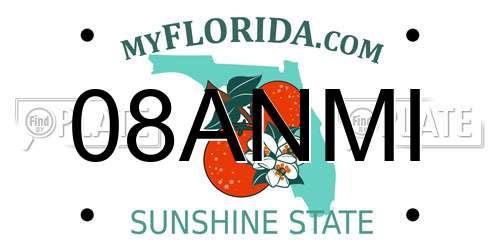 08ANMI Florida License Plate