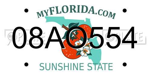 08AO554 Florida License Plate