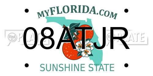 08ATJR Florida License Plate