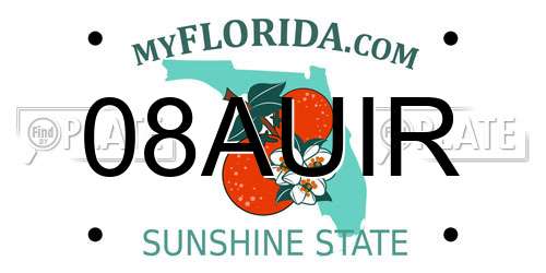 08AUIR Florida License Plate