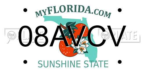 08AVCV Florida License Plate