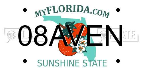 08AVEN Florida License Plate