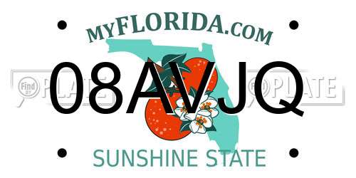 08AVJQ Florida License Plate