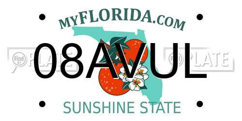 08AVUL Florida License Plate