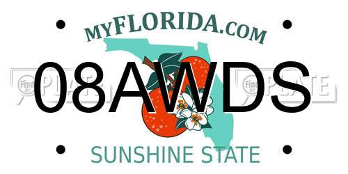 08AWDS Florida License Plate