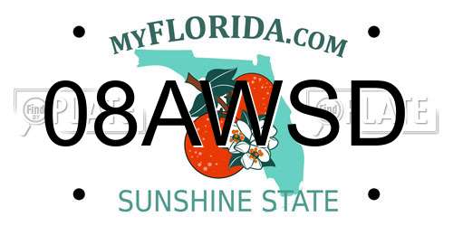 08AWSD Florida License Plate