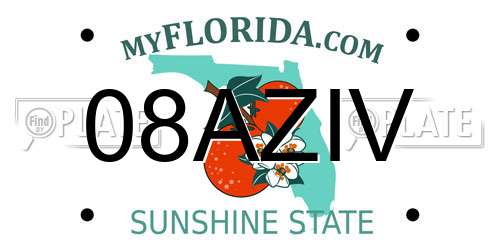 08AZIV Florida License Plate
