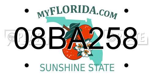08BA258 Florida License Plate