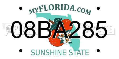 08BA285 Florida License Plate