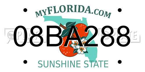 08BA288 Florida License Plate