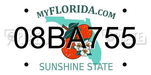 08BA755 Florida License Plate