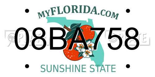 08BA758 Florida License Plate