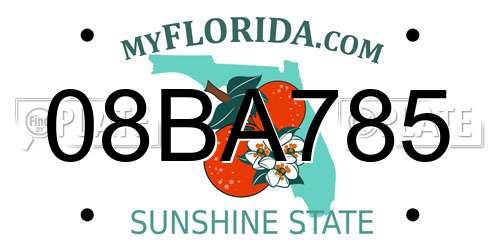 08BA785 Florida License Plate