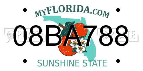 08BA788 Florida License Plate