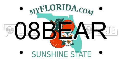 08BEAR Florida License Plate