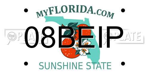 08BEIP Florida License Plate