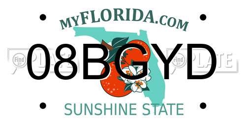 08BGYD Florida License Plate