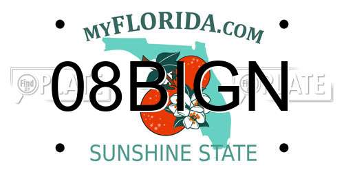 08BIGN Florida License Plate