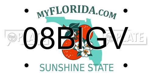 08BIGV Florida License Plate