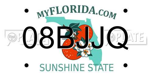 08BJJQ Florida License Plate