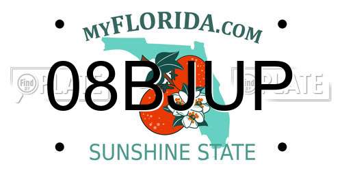 08BJUP Florida License Plate