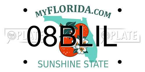 08BLIL Florida License Plate