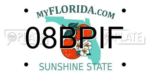 08BPIF Florida License Plate