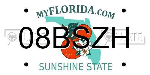 08BSZH Florida License Plate