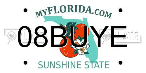 08BUYE Florida License Plate