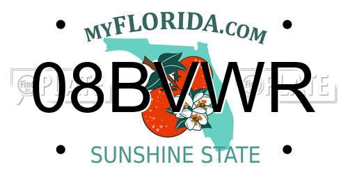 08BVWR Florida License Plate