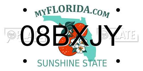 08BXJY Florida License Plate