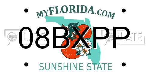 08BXPP Florida License Plate