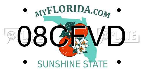 08CFVD Florida License Plate