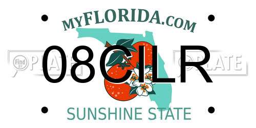 08CILR Florida License Plate