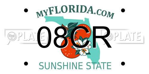 08CR Florida License Plate