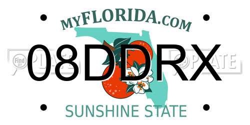 08DDRX Florida License Plate