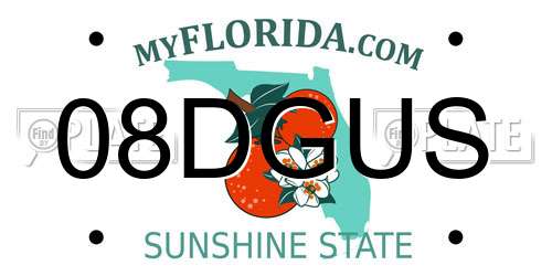 08DGUS Florida License Plate